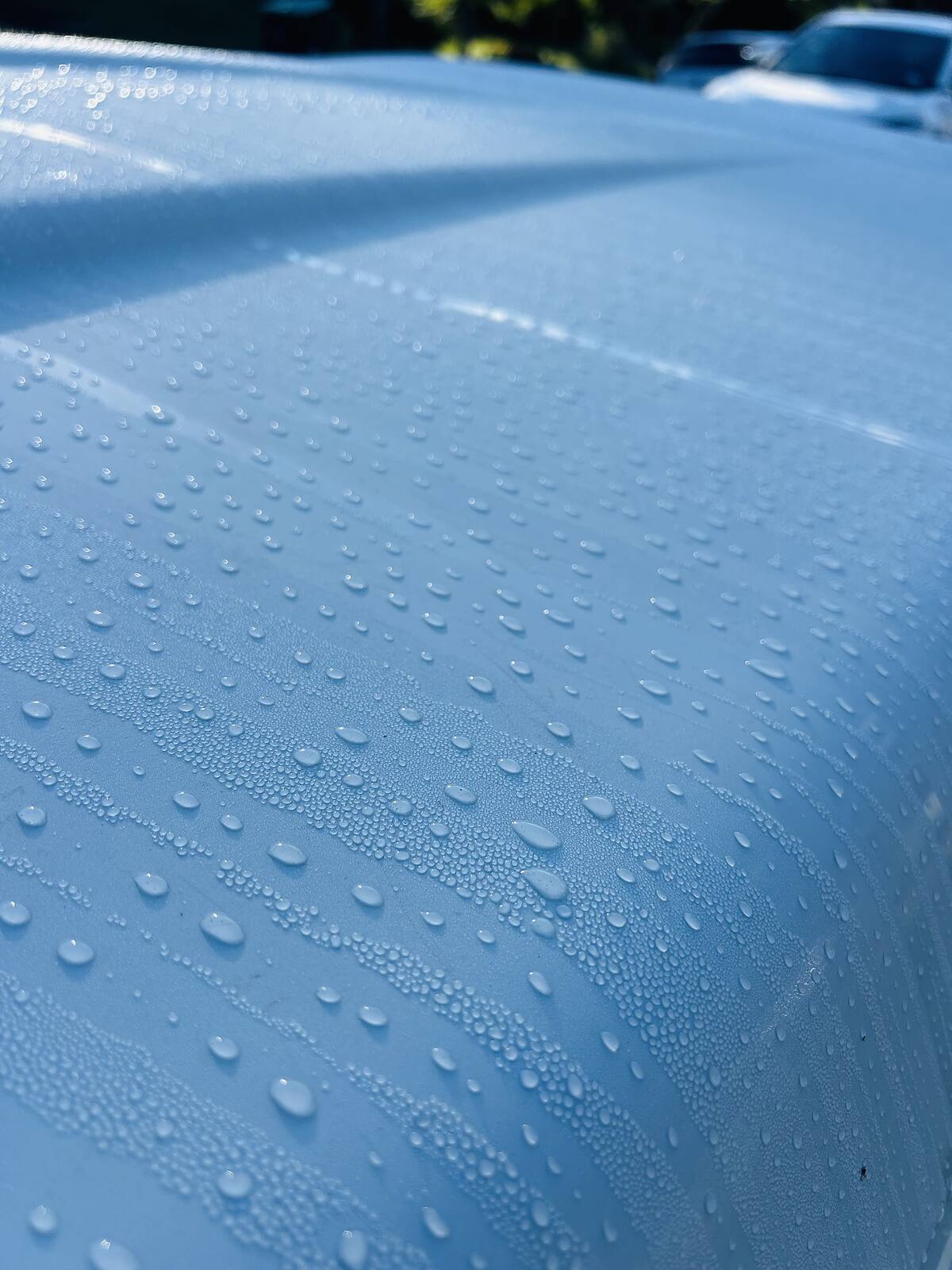 Water beading on blue paint protected with a ceramic coating